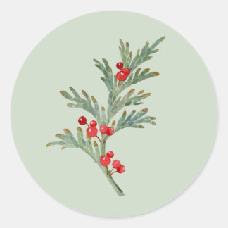 Sticker Rond Aquarelle Juniper de Noël avec baies