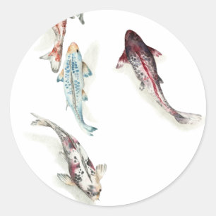 Sticker Rond Aquarelle Koi Fish