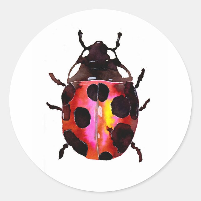 Sticker Rond Aquarelle Ladybug (Devant)