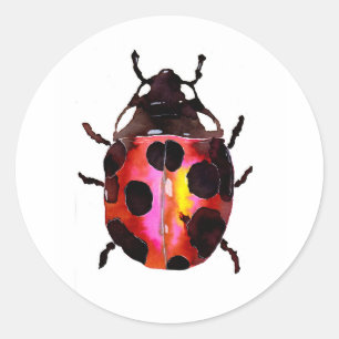 Sticker Rond Aquarelle Ladybug