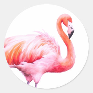 Sticker Rond Aquarelle moderne Flamant rose rose