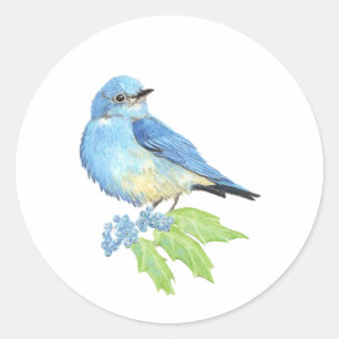 Sticker Rond Aquarelle Montagne Bluebird Blue Bird Art pour