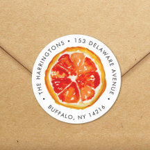 Aquarelle Orange Citrus Adresse de retour tirée à 