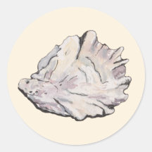 Aquarelle Oyster