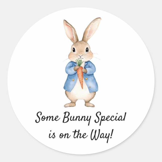 Sticker Rond Aquarelle Peter Rabbit Jardin Baby shower (Devant)