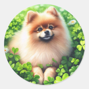 Sticker Rond Aquarelle Pomeranian Shamrock vert
