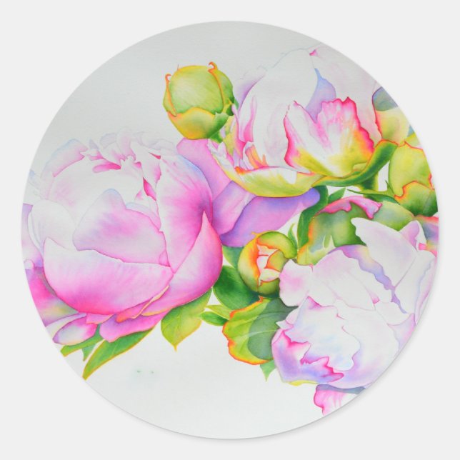 Sticker Rond Aquarelle rose fleurie rose pivoines blanc floral (Devant)