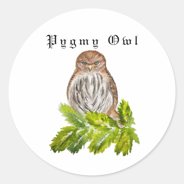 Sticker Rond Aquarelle Saw Whet Cute Little Owls (Devant)