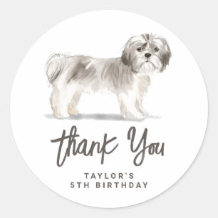 Sticker Rond Aquarelle vintage gris Shih Tzu Anniversaire