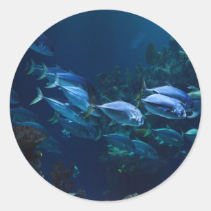 Sticker Rond Aquarium