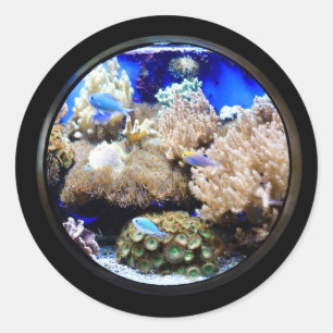 Sticker Rond Aquarium Poissons tropicaux et coraux