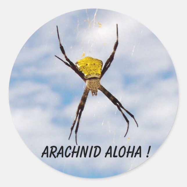 Sticker Rond Arachnid Aloha Hawaiian Garden Spider (Devant)