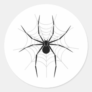 Sticker Rond Araignée dans un Web