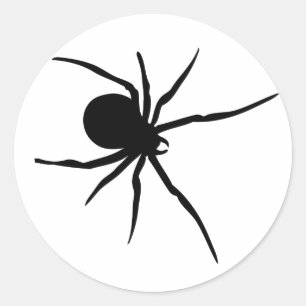 Sticker Rond Araignée noire géante
