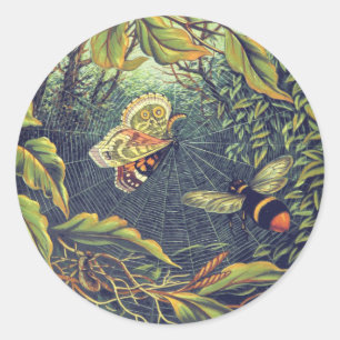 Sticker Rond Araignée papillon jardin victorien vintage
