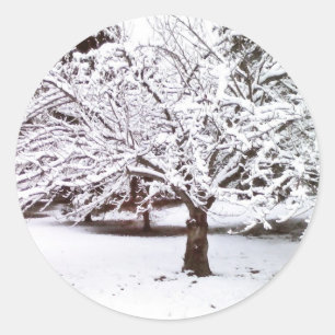 Sticker Rond Arbre à neige