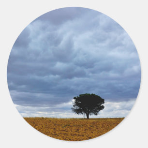 Sticker Rond Arbre dans un champ vide