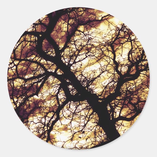 Sticker Rond Arbre de chêne (Devant)