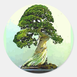 Sticker Rond Arbre de Cypress de bonsaïs