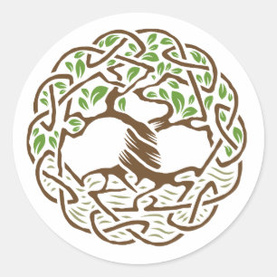Sticker Rond Arbre de vie celtique