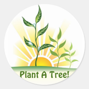 Sticker Rond Arbres futurs
