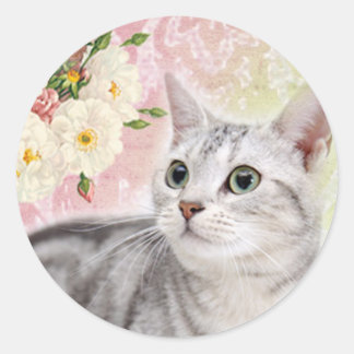 Sticker Rond Arrêtez De Sentir Les Roses