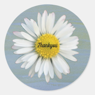 Sticker Rond Arrière - plan Aquarelle Jaune  Daisy Photo Merci