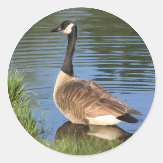 Sticker Rond Art animal de l'oie du Canada (Devant)