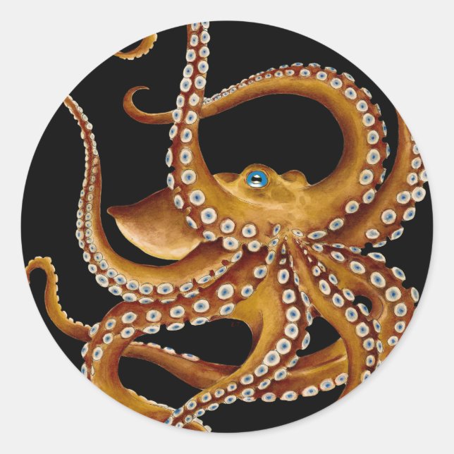 Sticker Rond Art noir octopus bleu oeil Brown (Devant)