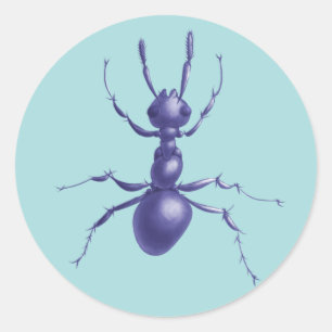 Sticker Rond Art numérique d'insectes pourpre-anus