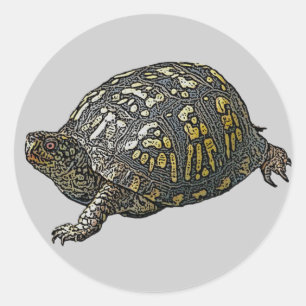 Sticker Rond Articles coordonnés orientaux de tortue de boîte