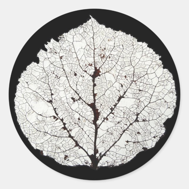 Sticker Rond Aspen Feuille Squelette 1 (Devant)