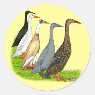 Sticker Rond Assortiment de canard coureur