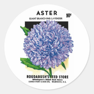 Sticker Rond Aster Vintage Seed Packet