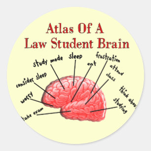 Sticker Rond Atlas du cerveau étudiant en droit