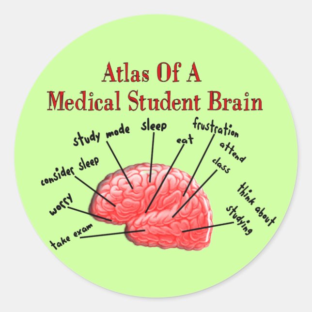 Sticker Rond Atlas du cerveau Médicale des étudiants (Devant)