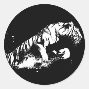 Sticker Rond Attaque au tigre
