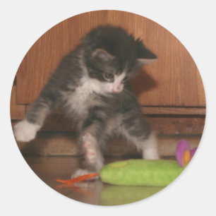 Sticker Rond Attaque de mouche