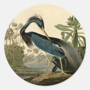 Sticker Rond Audubon Louisiana Heron Birds America Art