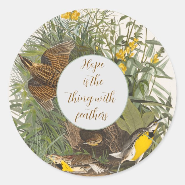 Sticker Rond Audubon Meadowlark Botank Imprimer (Devant)