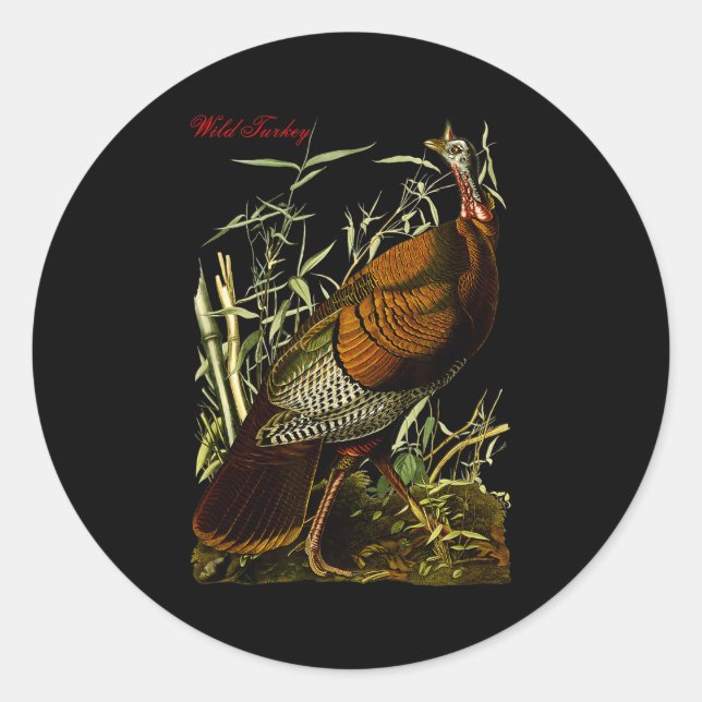 Sticker Rond Audubon Wild Turkey North American Birds Education (Devant)