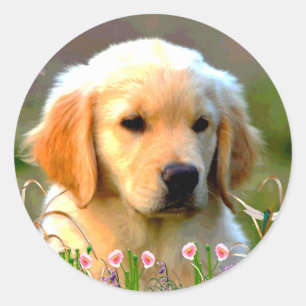 Sticker Rond Austin The Golden Labrador