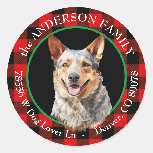 Sticker Rond Australian Cattle Dog Buffalo Adresse de retour (Devant)