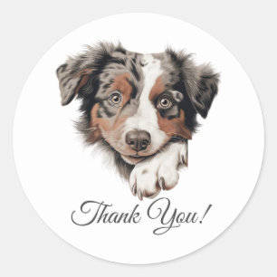 Sticker Rond Australie Berger mignon chien Merci