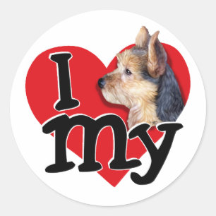 Sticker Rond Australien Terrier I (coeur) mon