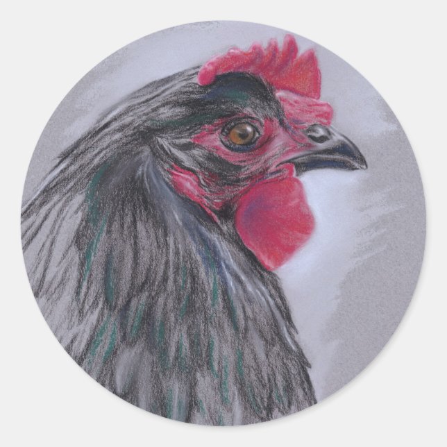Sticker Rond Australorp noir Hen (Devant)