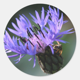 Sticker Rond Autocollant-cadeau Mariage de Cornflower bleu viol