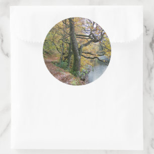 STICKER ROND AUTOMNE