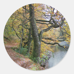STICKER ROND AUTOMNE