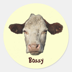 Sticker Rond Autoritaire la vache